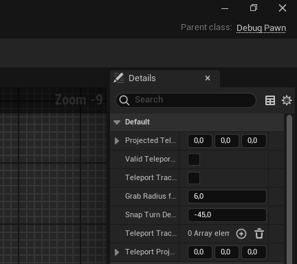 Veifying whether the VRPawn Blueprint class set to ADebugPawn or not