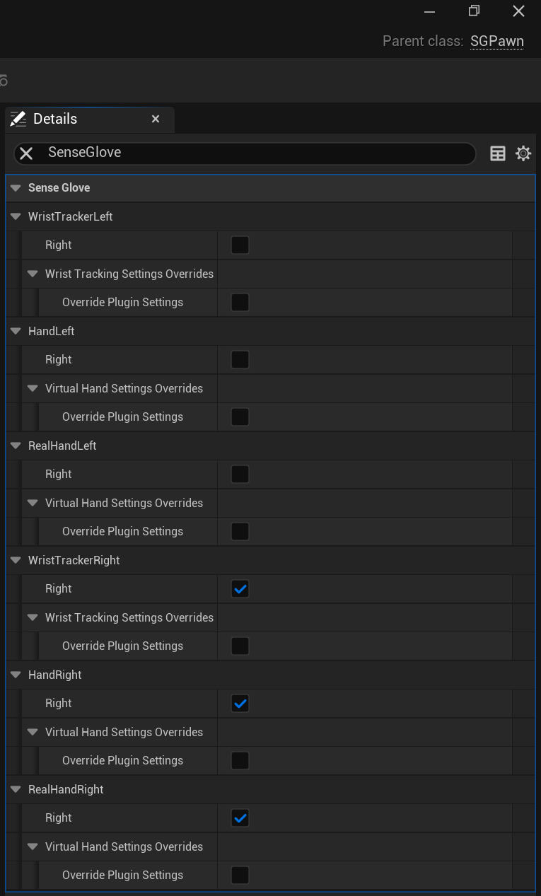 Customizing SGPawn - Filtered SGPawn Details panel