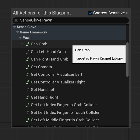 SGPawn Grab/Realase-Related Blueprint Functions