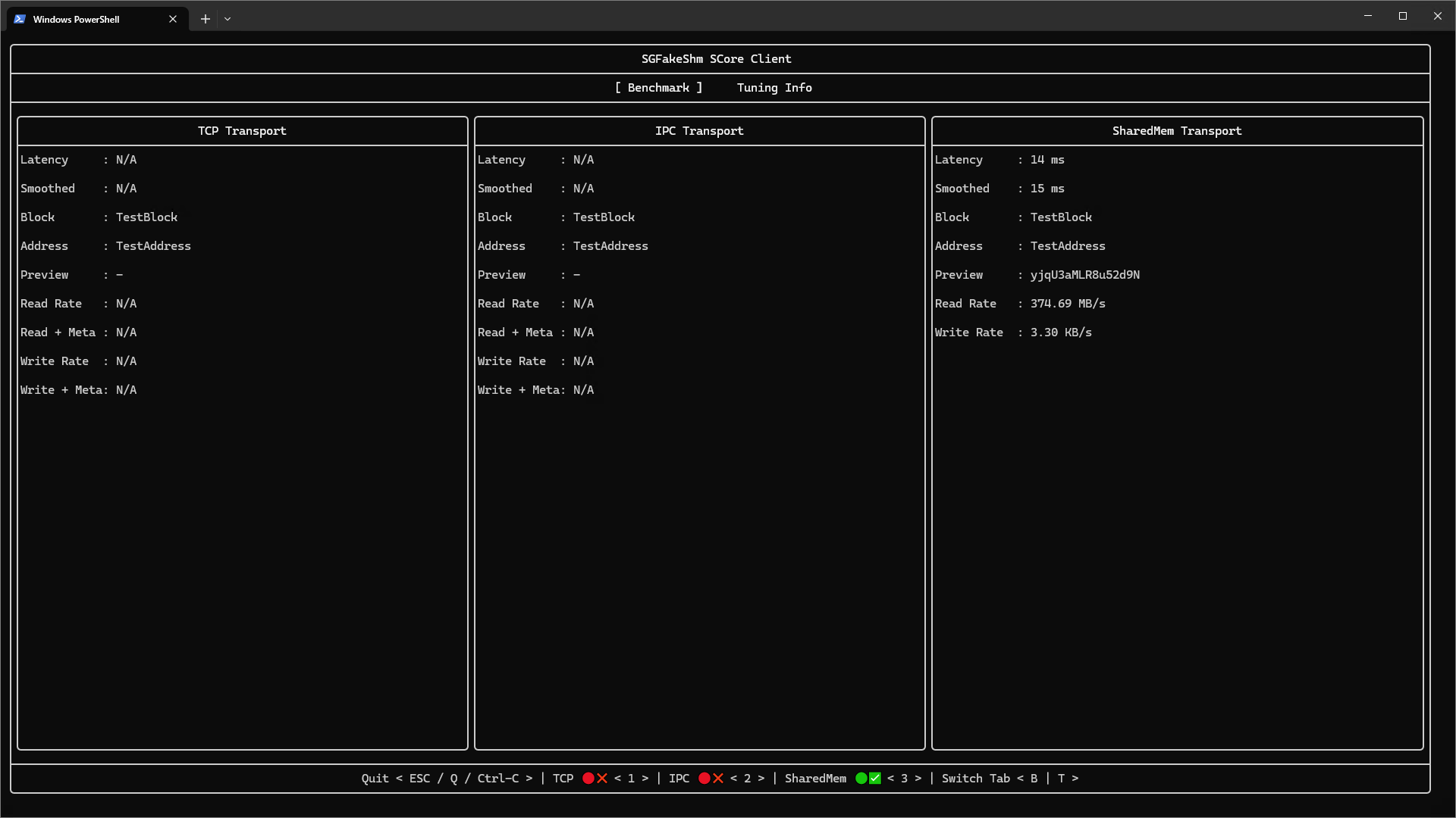 SGFakeShm Benchmarking and Tuning Utilities - sgfakeshm-core-client running on Microsoft Windows