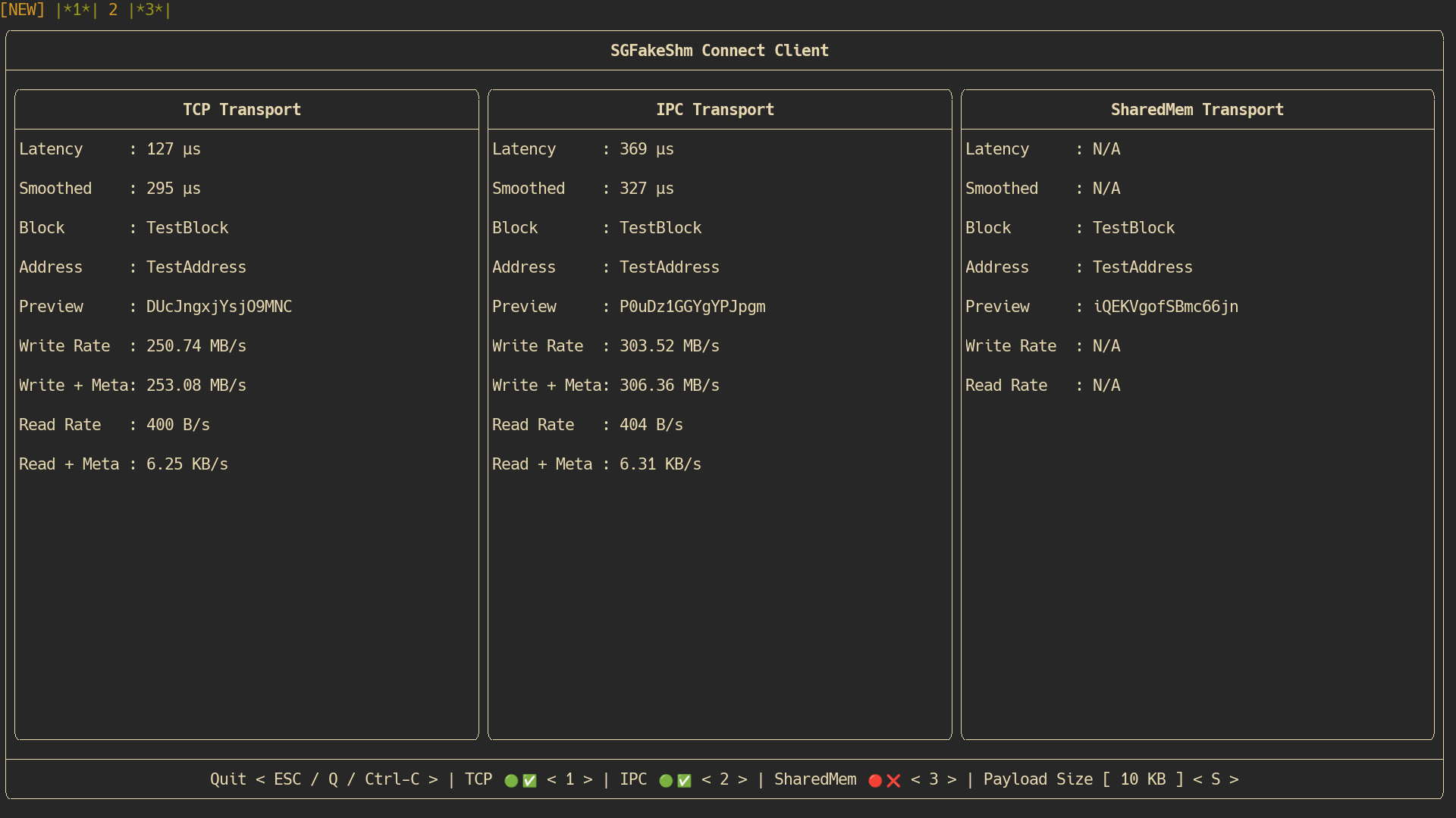 SGFakeShm Benchmarking and Tuning Utilities - sgfakeshm-connect-client running on GNU/Linux